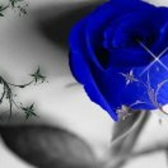 Theresa B Smart Caver