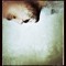 olivierpages