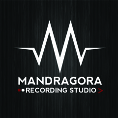 Mandragora Studio