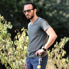 Hossam L. GHandour