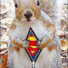 Supersquirrel