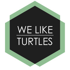 We Like Turtles