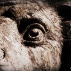 Jillian Skoff Meridith