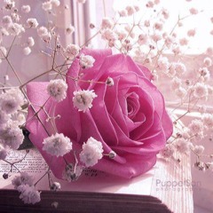 Hanan
