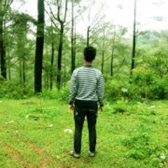 LuwakCoffeenya YHogi