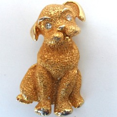 gold dog