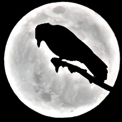 Crow & Luno