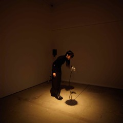 Vanished Thought (2006)