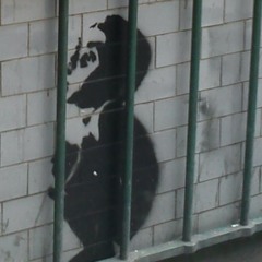 cause I can (mini me)