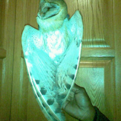 junotone Owlproduxionz