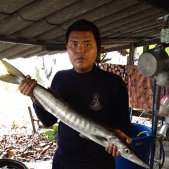 mayomzaa_en@hotmail.com