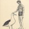 Barnacle Albatross