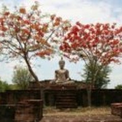 Ineta Gypsyfoot Lopelija