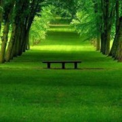 Mohamed Abdelhafeez 1