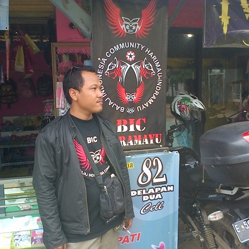 Kuda Coklatku - Iwan Fals