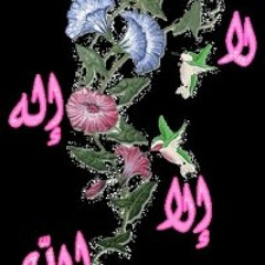 الفضلي