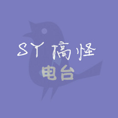 sy_fm