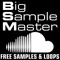 Big Sample Master