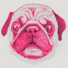 indoor pug（インドアパグ）