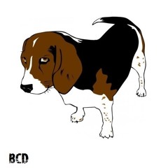 Beagle Class Destroyer