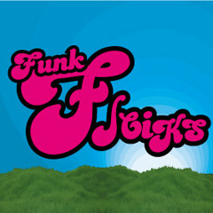 Funk Fleiks