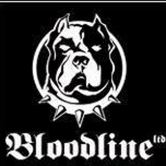 Bloodline knl