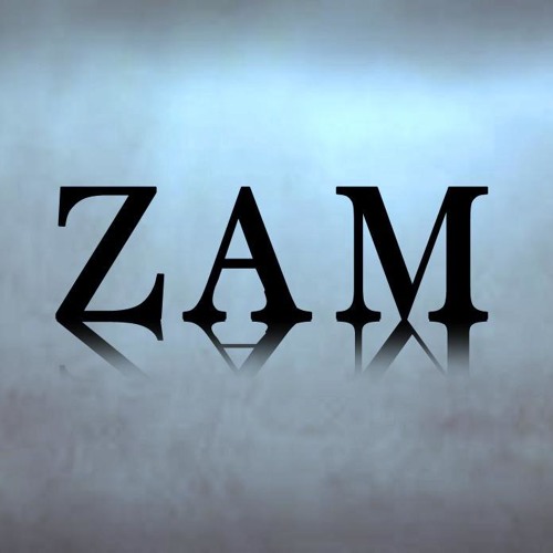 Zam (Producer) — artist photo