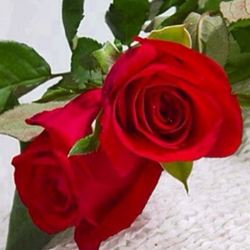 Desperado - 임재범