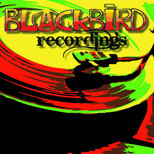 Blackbird Recordings Ltd’s avatar