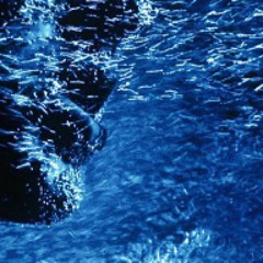 Motherless Child (Martin Gore karaoke)