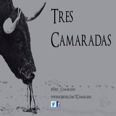 Tres Camaradas