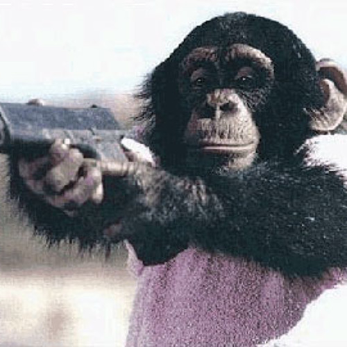BBoy Monkey- chilling