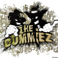 TheDummiez
