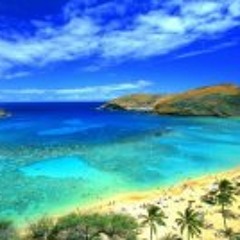 Wesselvr Va N Rooijen