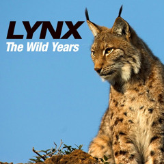 LYNX - An LA Rock Band