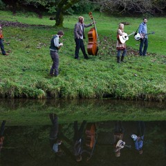 Renegade Stringband