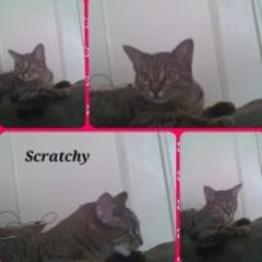 Missvickie Slim Wells