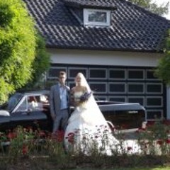 hc enz