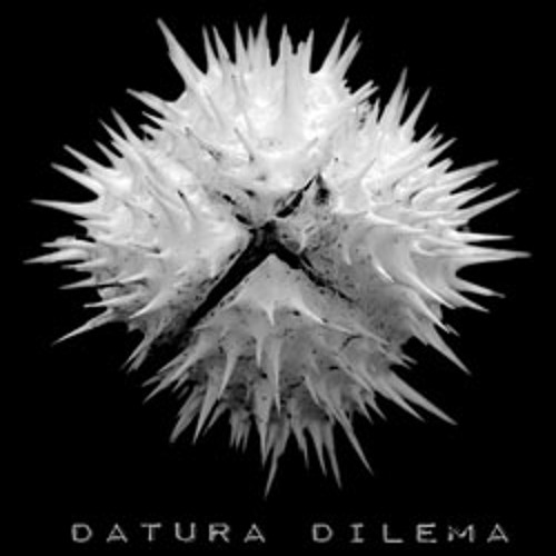 Datura Dilema’s avatar
