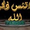 Ahmed Shawky 26