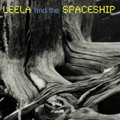 Leela and the Spaceship