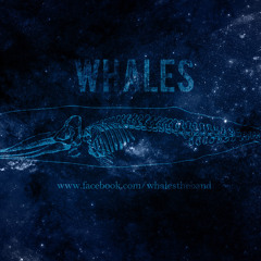 whalestheband