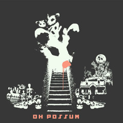 OH POSSUM