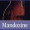 Mandozine