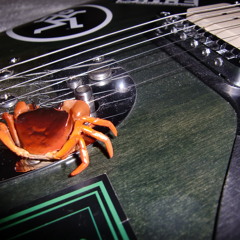 kanibugyo(蟹奉行)