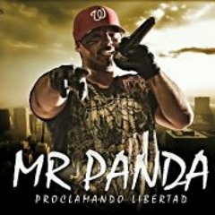 MR. PANDA