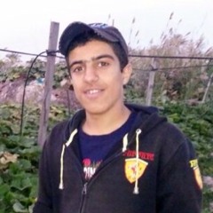 hussain alghanimi