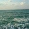ashraf_tayfour