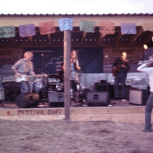 Stream The Greenhouse Blues Band music Listen to songs, albums