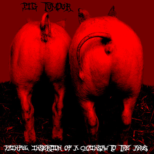 Pig Tumour - POV Movie Of Shit Being Eaten By Thousand Golden Water Closets - DEMU 2013!